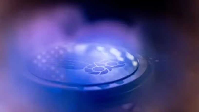 1772074758524731.png ScreenShot_2026-02-26_102620_379.png