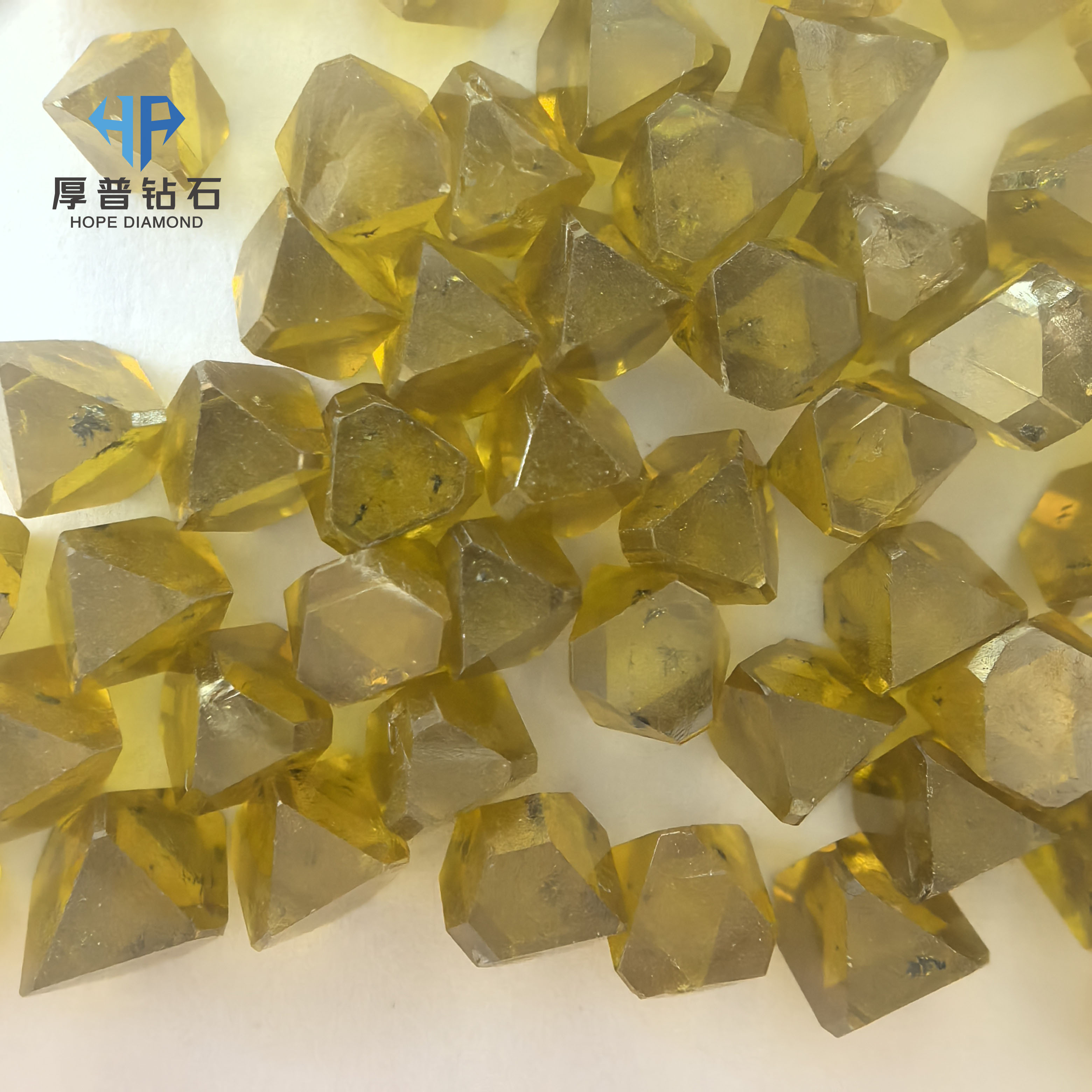 1781081695182069.jpg 微信图片_20260610092738_7264_3.jpg